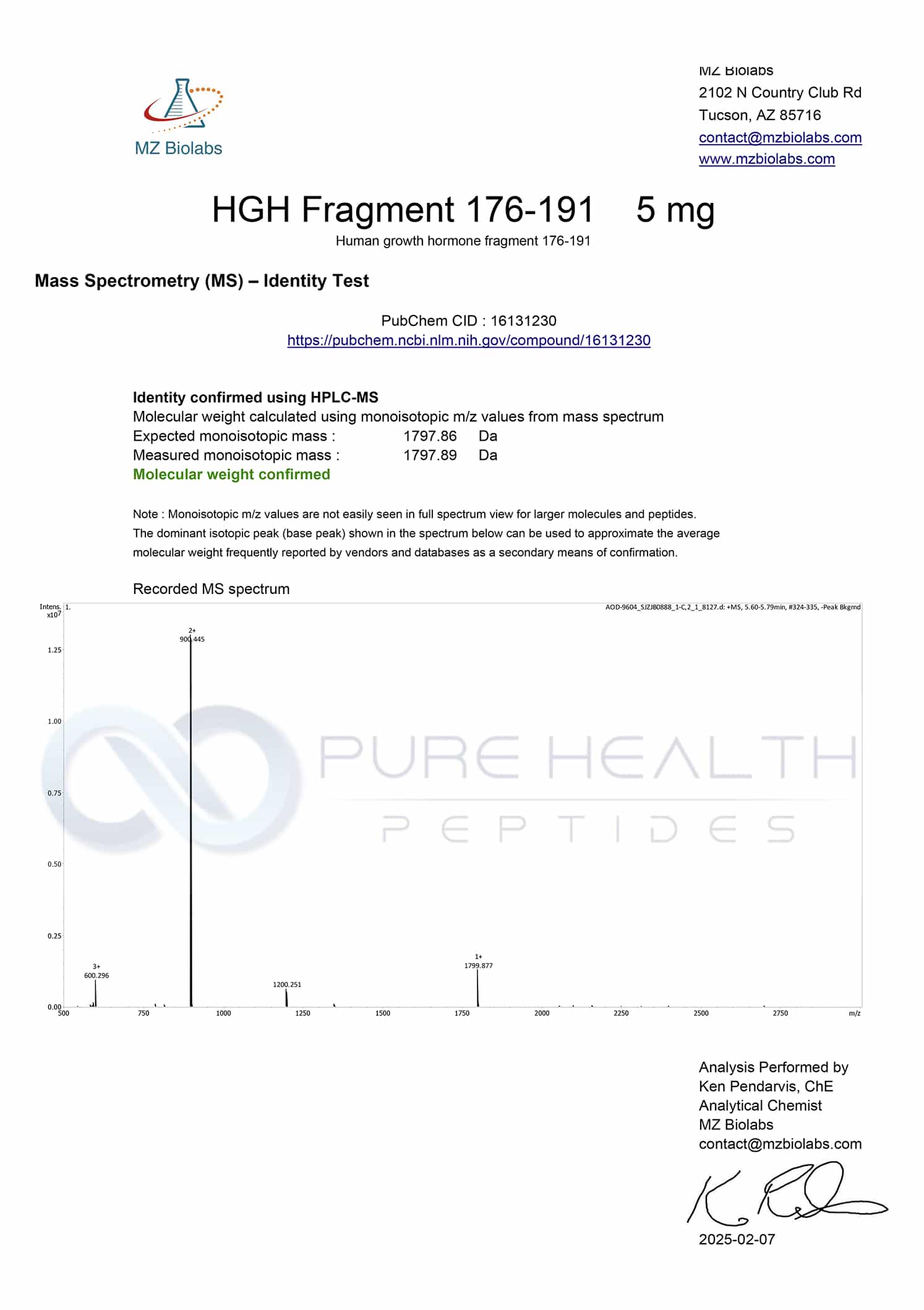 H-FRAGMENT 176-191