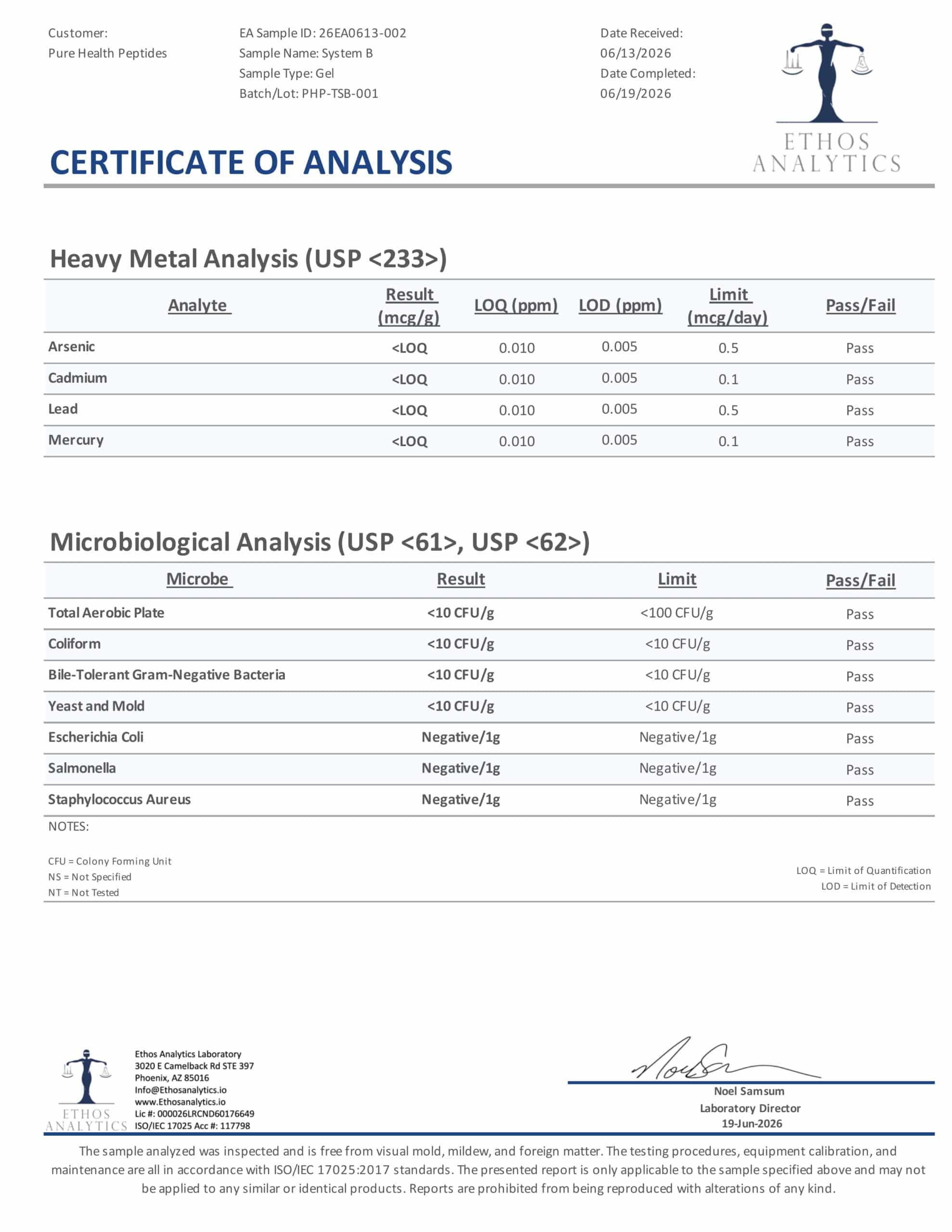 MODULAR PEPTIDE SYSTEM B – PURE PEPTIDE GEL